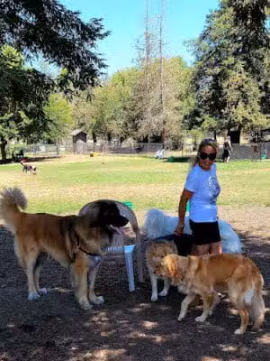 Rincon Valley Community Dog Park - Santa Rosa, CA