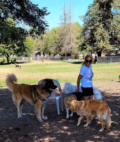 Rincon Valley Community Dog Park - Santa Rosa, CA