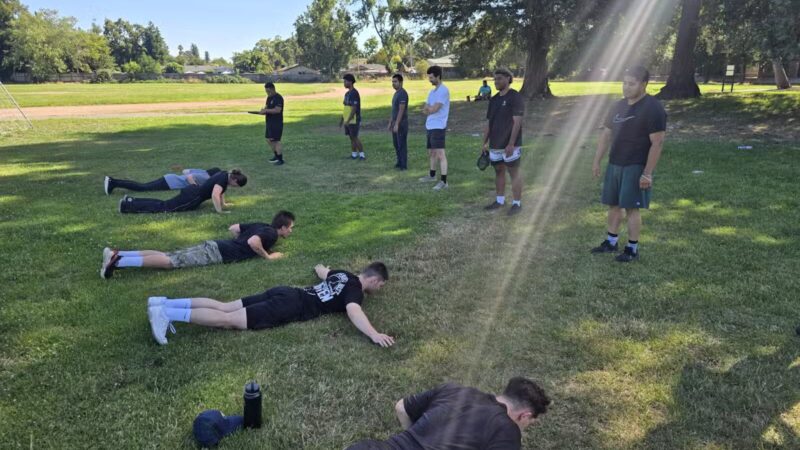 Hilliard Comstock Northwest Community Dog Park - Santa Rosa, CA