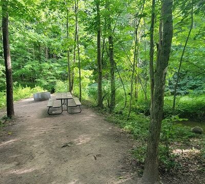 Sessions Lake Boat Launch - Saranac,