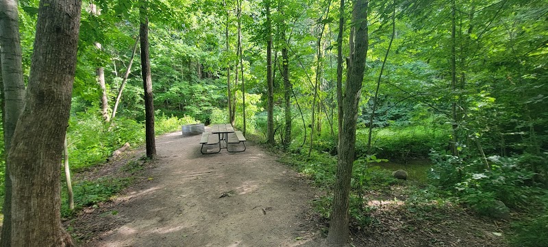Sessions Lake Boat Launch - Saranac,