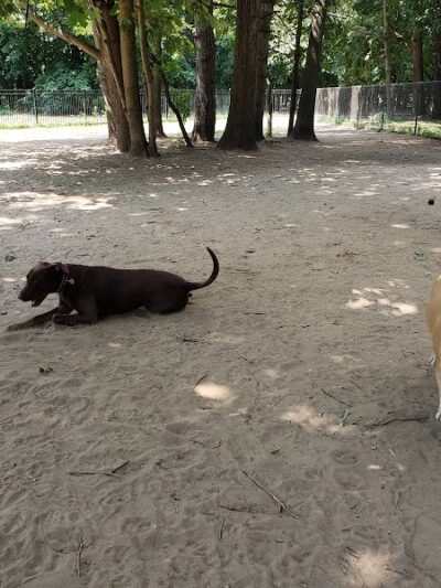 Saratoga Springs Dog Park - Saratoga Springs, NY