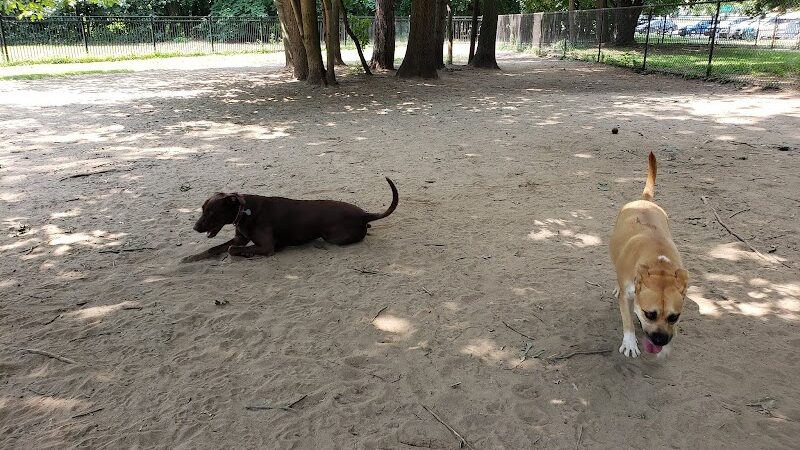 Saratoga Springs Dog Park - Saratoga Springs, NY