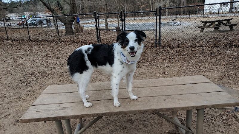 Saratoga Springs Dog Park - Saratoga Springs, NY