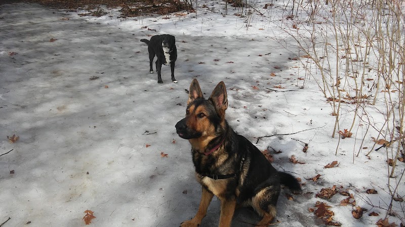 Saratoga Springs Dog Park - Saratoga Springs, NY