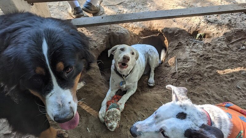 Saratoga Springs Dog Park - Saratoga Springs, NY