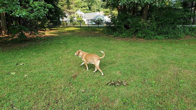 Saratoga Springs Dog Park - Saratoga Springs, NY