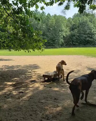 Saratoga Springs Dog Park - Saratoga Springs, NY