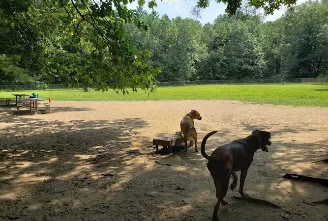 Saratoga Springs Dog Park - Saratoga Springs, NY