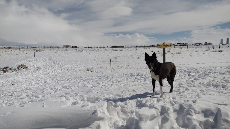 Saratoga dog park - Saratoga, WY
