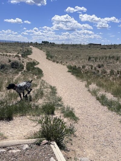 Saratoga dog park - Saratoga, WY