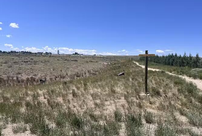 Saratoga dog park - Saratoga, WY