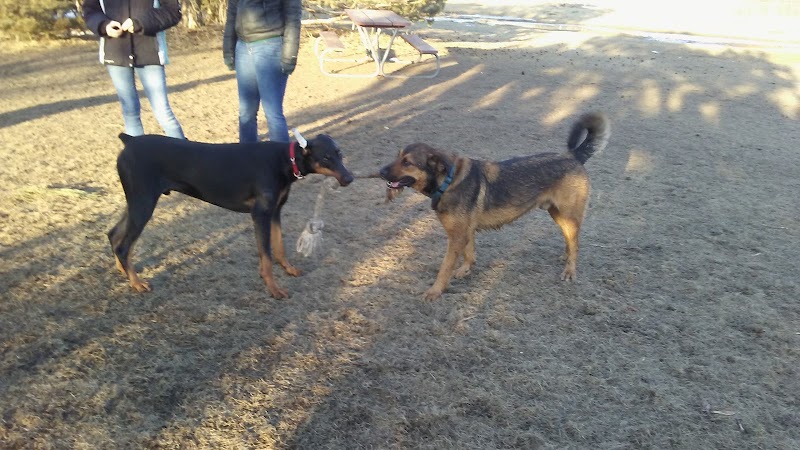 Sartell Dog Park - Sartell, MN