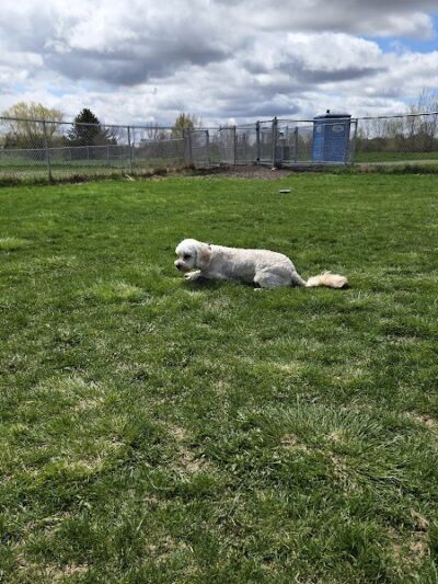 Sartell Dog Park - Sartell, MN