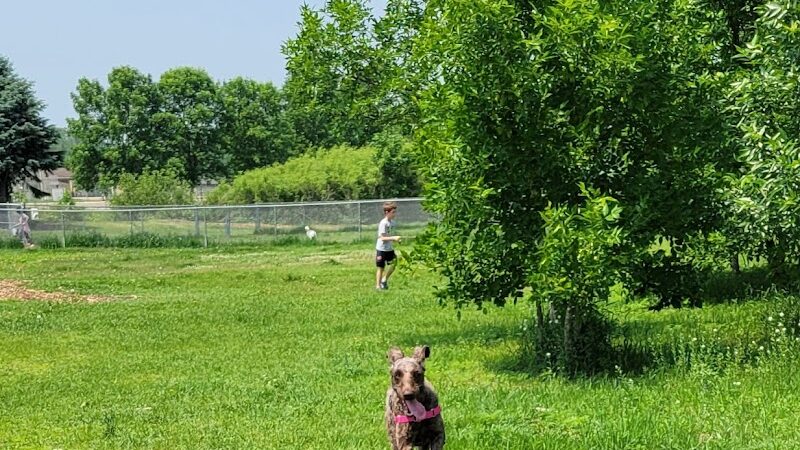 Sartell Dog Park - Sartell, MN