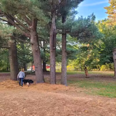 Tails n' Trails Dog Park - Saugatuck, MI
