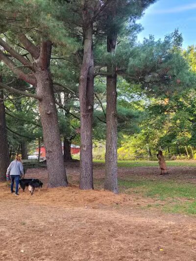 Tails n' Trails Dog Park - Saugatuck, MI