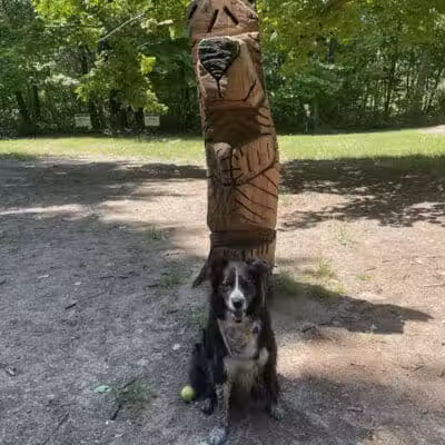 Tails n' Trails Dog Park - Saugatuck, MI