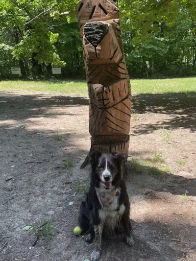 Tails n' Trails Dog Park - Saugatuck, MI