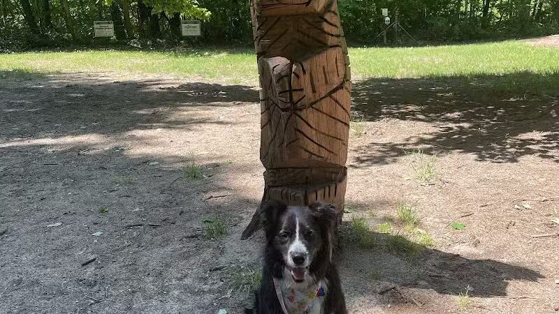 Tails n' Trails Dog Park - Saugatuck, MI