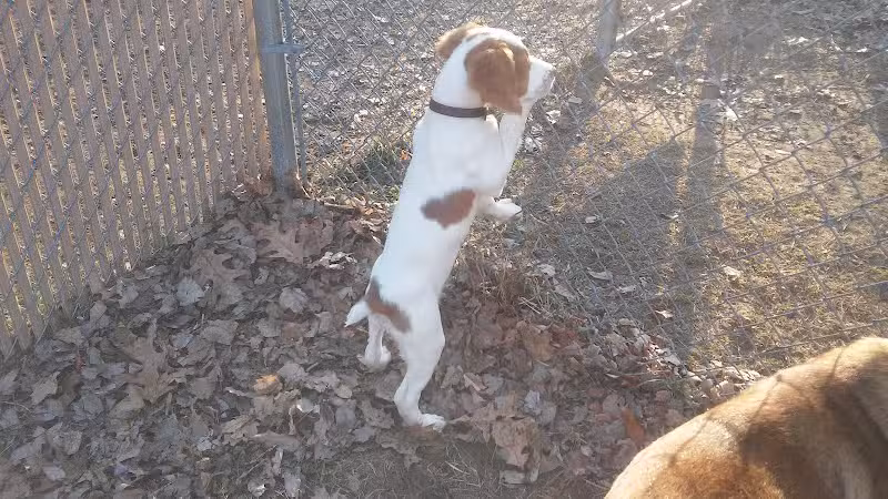 Tails n' Trails Dog Park - Saugatuck, MI