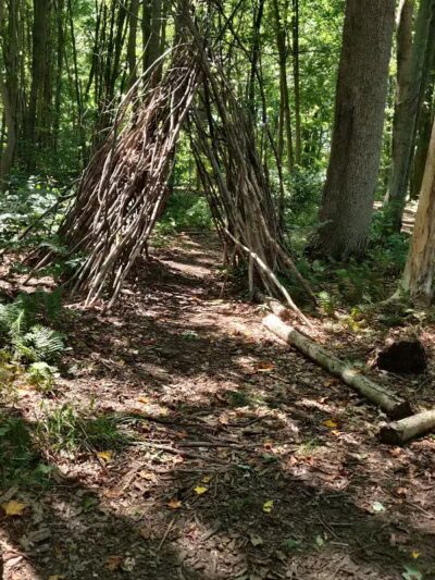 Tails n' Trails Dog Park - Saugatuck, MI