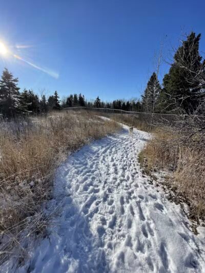 Chippewa County Animal Control & Dog Park - Sault Ste. Marie, MI