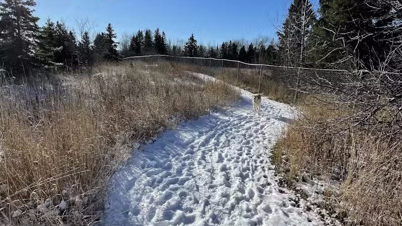 Chippewa County Animal Control & Dog Park - Sault Ste. Marie, MI