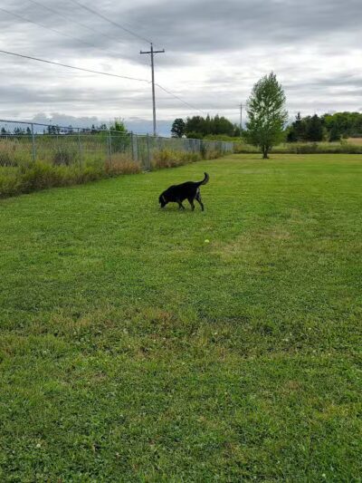 Chippewa County Animal Control & Dog Park - Sault Ste. Marie, MI