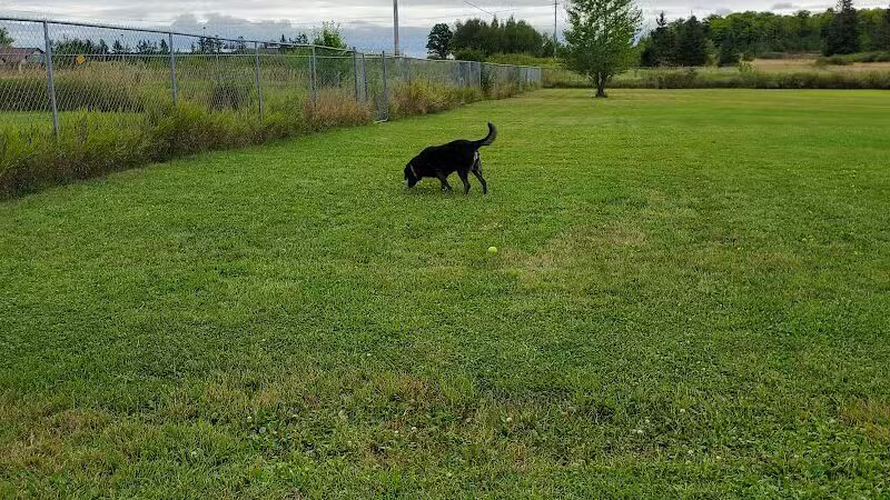 Chippewa County Animal Control & Dog Park - Sault Ste. Marie, MI