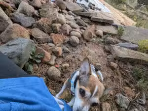 Sherman Park - Sault Ste. Marie, MI