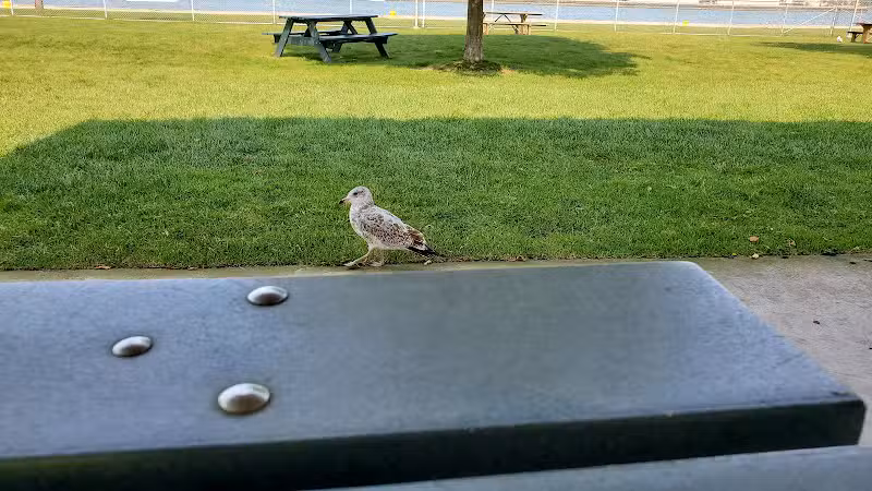 St Marys Falls Park - Sault Ste. Marie, MI