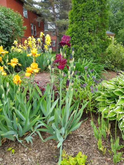 St Marys Falls Park - Sault Ste. Marie, MI