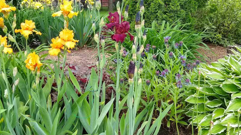 St Marys Falls Park - Sault Ste. Marie, MI