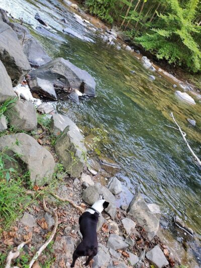 Patuxent Branch Trail - Savage, MD