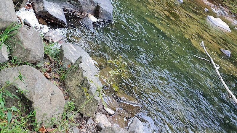 Patuxent Branch Trail - Savage, MD