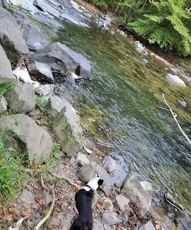 Patuxent Branch Trail - Savage, MD