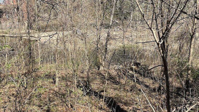 Savage Mill Trail - Savage, MD