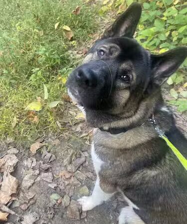 Savage Mill Trail - Savage, MD