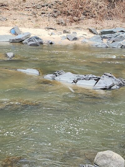 Savage Park - Savage, MD