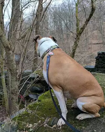 Savage Park - Savage, MD