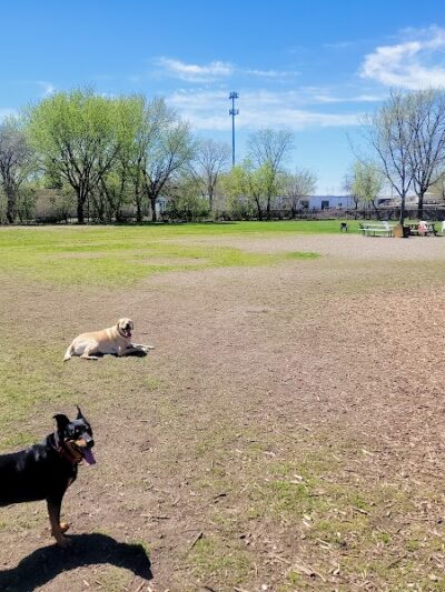 Savage Dog Park - Savage, MN