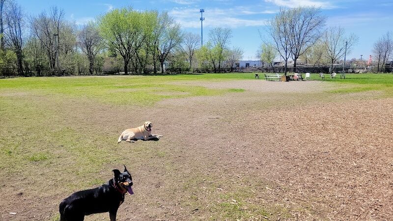 Savage Dog Park - Savage, MN