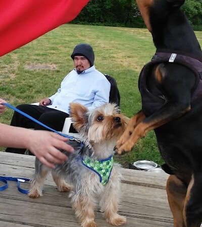 Savage Dog Park - Savage, MN