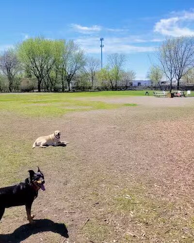 Savage Dog Park - Savage, MN