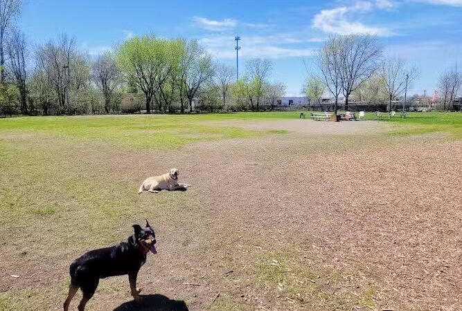 Savage Dog Park - Savage, MN