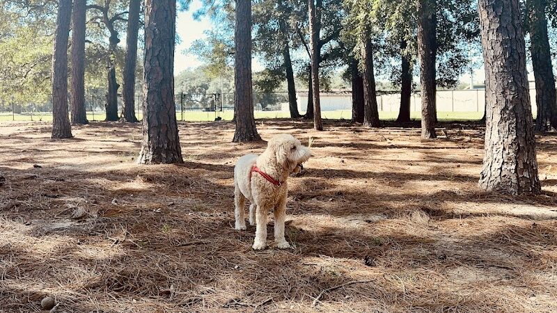 Herty Pines Dog Park - Savannah, GA