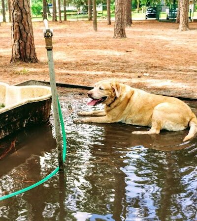 Herty Pines Dog Park - Savannah, GA