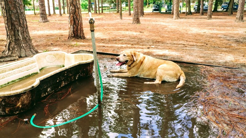 Herty Pines Dog Park - Savannah, GA