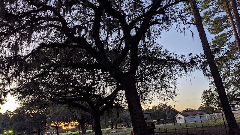 Herty Pines Dog Park - Savannah, GA